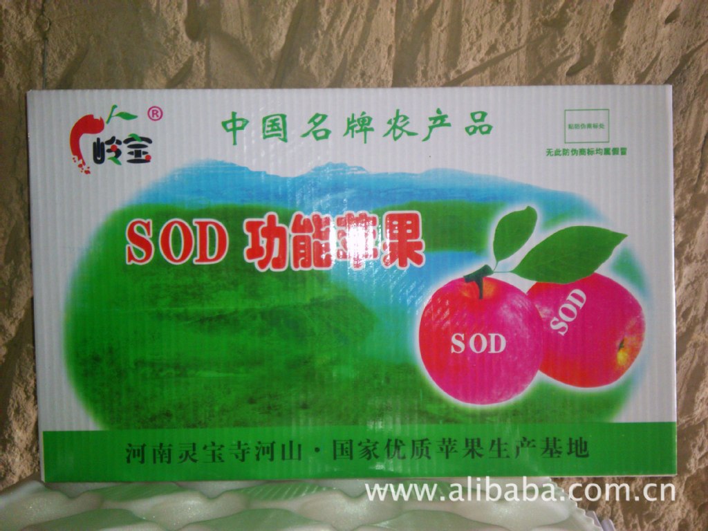 高山果園的饋贈 綠色無公害紅富士蘋果，品質與健康的承諾