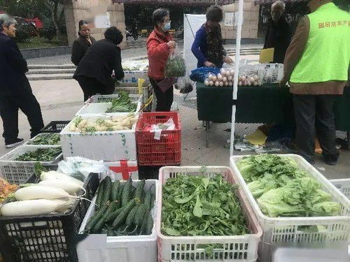 便捷與實惠并行 高品質農產品進社區(qū)，守護市民餐桌健康